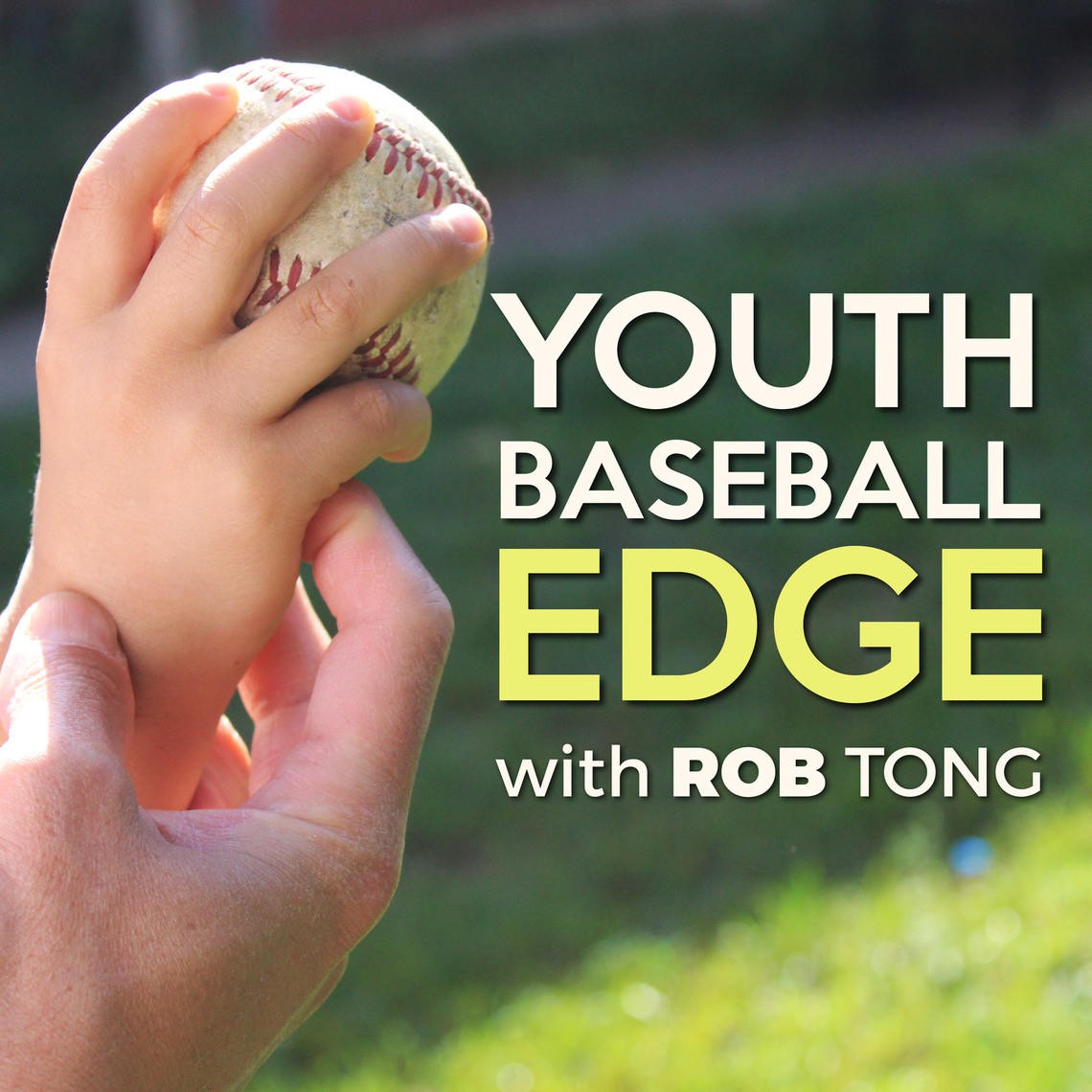 YBE 108: Intro To Pitch Recognition with Peter Fadde | The Youth ...