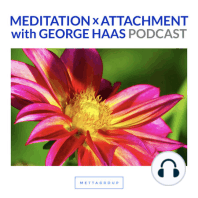 Metta-Vipassana Meditation and Psychological Attachment