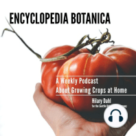 Episode 99: Carrots and Parsnips with Colin McCrate