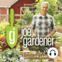 111-The State of Gardening TV in Changing Times, with HGTV’s Paul James