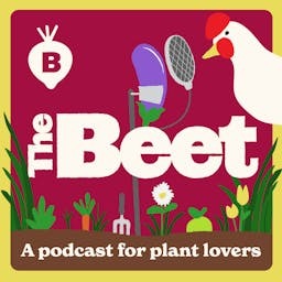 5 Reasons To Grow In Raised Beds Epic Gardening Daily Growing Tips