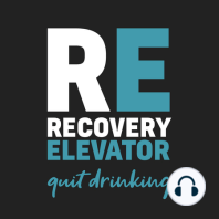 RE 132: Don't Beat Yourself Up - Alcohol Already Does That
