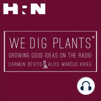 Episode 143: Plants with Benfits