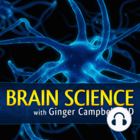 BSP 117: Michael Gazzaniga, father of cognitive neuroscience
