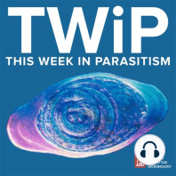 TWiP 169: What goes on in the snail