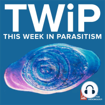 Twip 97 The Seven Year Itch Scribd