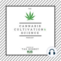 Episode 51: Research in Cannabis Production with Dr. Ben Higgins