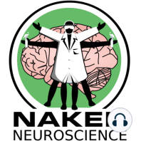 The Naked Scientists strip down the brain in Spain