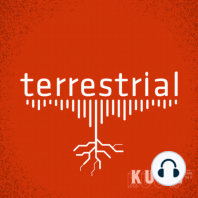 Preview: terrestrial