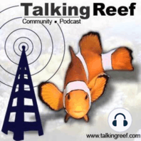 Talkingreef - Ep5.1