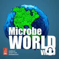 MWV Episode 91 - TWiV #310: From bacteriophage to retroviruses with Ann Skalka