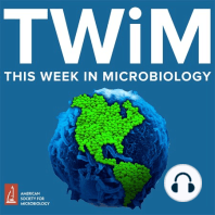 TWiM #105: Real bugs with legs
