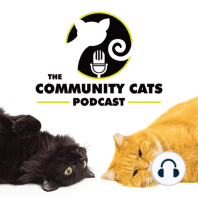Preparing for the Online Cat Conference with Stacy LeBaron and Kristen Petrie, Head Cat and Technical Cat of the Community Cats Podcast