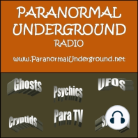 Paranormal Underground Radio: Darryl E. Berry, Jr. - Founder and CEO of Next Density Research Education and Development Center