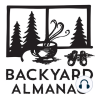 Backyard Almanac: "in a week or so, it will be unrecognizable"
