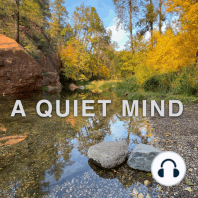 Guided Meditation on facing our fears