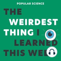 The Secret to Perfect Sleep, Naked Mole Rat Royalty, Baby Shark (do do do do do do) Puke