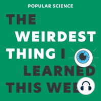 What is The Weirdest Thing I Learned This Week?