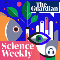 Questioning AI: what are the key research challenges? – Science Weekly podcast