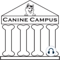 Canine Campus #1: Adult/Adolescent Obedience, Part One of Three