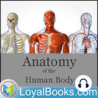 14 – The Thoracic Vertebrae; The Lumbar Vertebrae