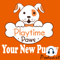 YNP #001: Are You Ready for a New Dog?  5 Questions to Help you Decide.