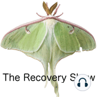 Recovery 2016 – Episode 184