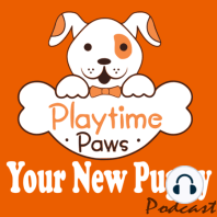 YNP #043: What They Don’t Tell You About Getting a Puppy