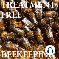 Treatment-Free Beekeeping Podcast - Episode 18 - Aaron in Louisiana