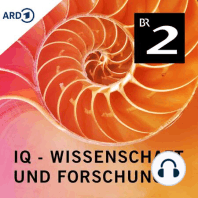 Supererde mit Wasser - Forscher staunen über fernen Planeten