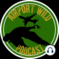 Episode 007: Advisory Circular 150/5200-38 with Amy Anderson, FAA Airport Biologist
