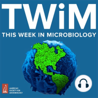 233: Antivirals made by bacteria