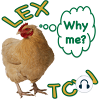 LEX - TCW Episode 22: The Nintendo Wii and PS3 games.