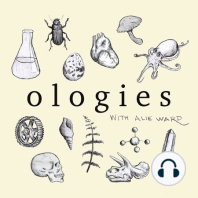 Osteology (SKELETONS/BODY FARMS) with Daniel Wescott