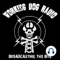 Episode 124: Dogs Down Under with Ben Richards⁣