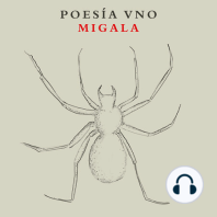 Migala poesía 9 · Sor Juana