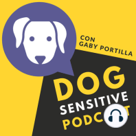 Episodio 14. Enseñanzas caninas para tiempos de cuarentena