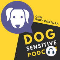Episodio 49. Consentir a tu perro ¿está bien o está mal?