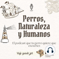 Capítulo 3. Tu perro también necesita pensar