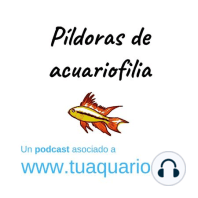 Pildoras de acuariofilia 3. Acuariofilia Responsable España (conversación)