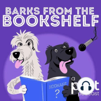 #09 Off The Shelf Series Ep 1. Bear, Horse, Wolf: Carrie-Anne Selwyn, Corrin Goodall, Natalie light