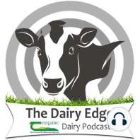 Let’s Talk Dairy Bonus Episode: Derogation and Farm Management Points to Note