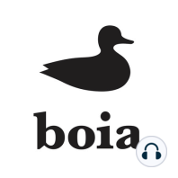 Boia 44