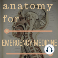 021 – Shoulder: subacromial space and labrum