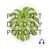 Episode 45: String of Pearls, Senecio rowleyanus Plant Profile