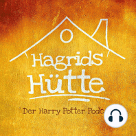 3.11 - Ein Besuch bei Hagrid, ein Feuerblitz und ein Weihnachtsessen (Harry Potter und der Gefangene von Askaban, Kapitel 11)