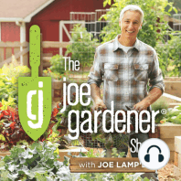 135-Backyard Chickens: Benefits and Challenges for Gardeners, with Lisa Steele