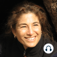 Trusting the Gold - A Celebration of Tara’s New Book, with guest, Rick Hanson