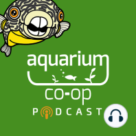 Ep. 74 - Cory McElroy on CIPS 2019 and Fish Medicine and Illness