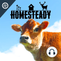 Homesteading PREGNANT - What to Expect